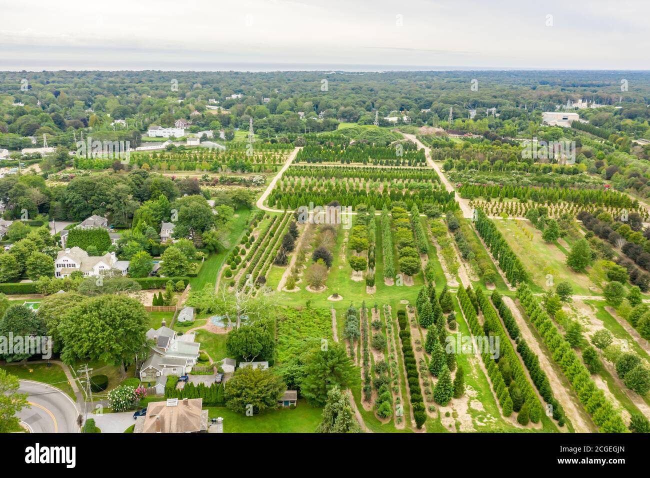 aerial view of Whitmore's Nursery, East Hampton, NY Stock Photo Alamy