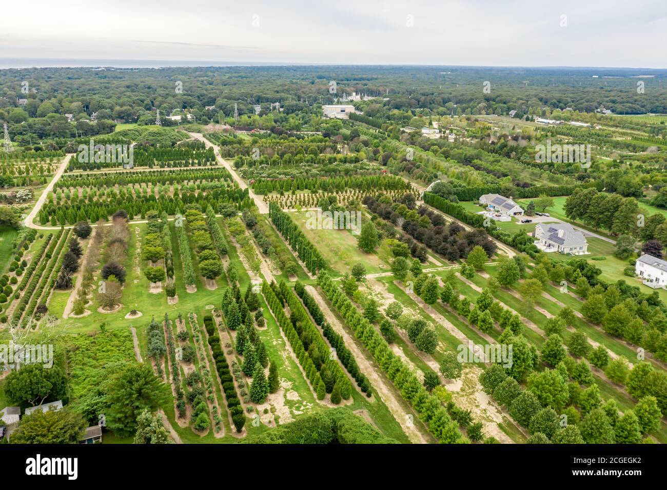 aerial view of Whitmore's Nursery, East Hampton, NY Stock Photo Alamy