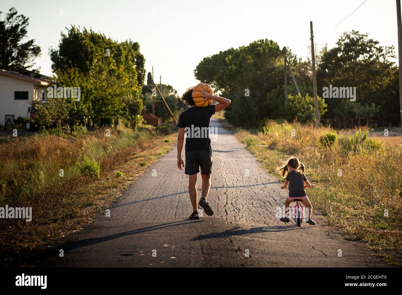 Little child girl, riding a bike, with her young father carrying a big halloween pumpkin on a country road at sunset. Back view. Stock Photo