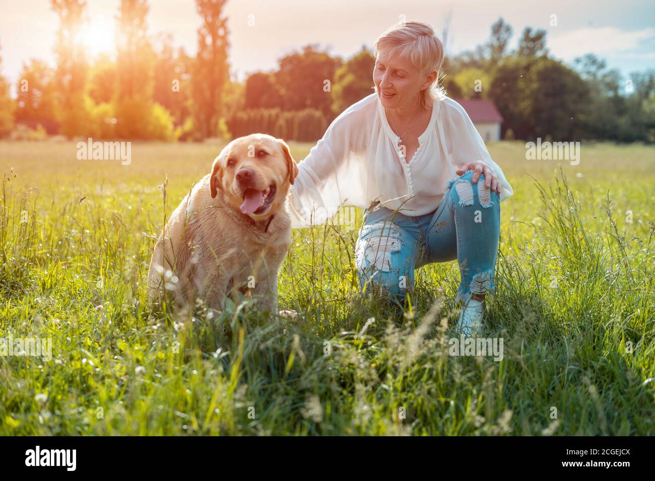 Retired happy retirement dog hires stock photography and images Alamy