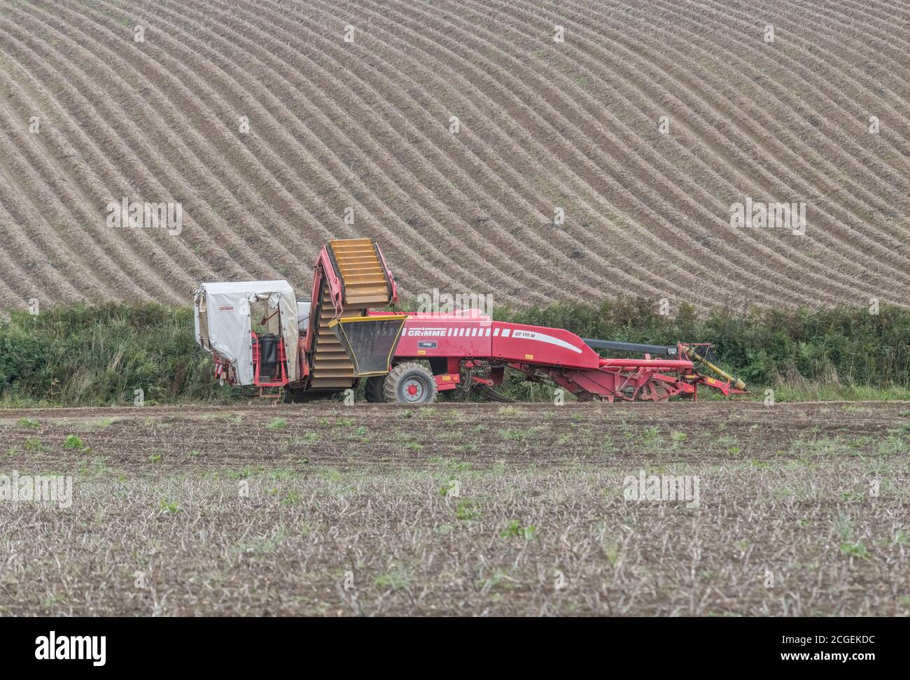 De-coupled GRIMME potato harvester at bottom of Cornish hillside potato field. For UK agriculture & food / UK potato production, British farming. Stock Photo