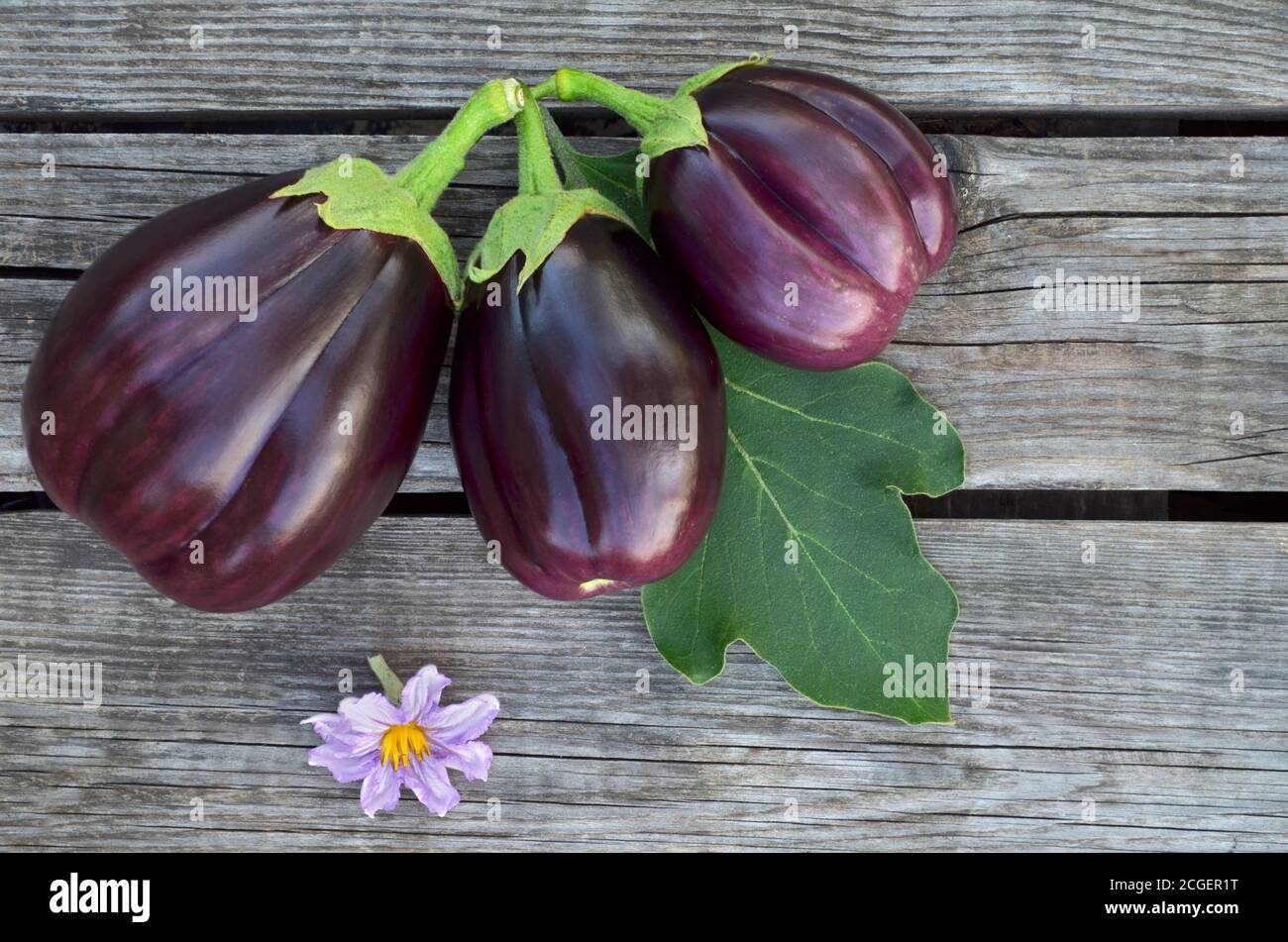 Three eggplants on a wooden background. Close-up, top view Stock Photo