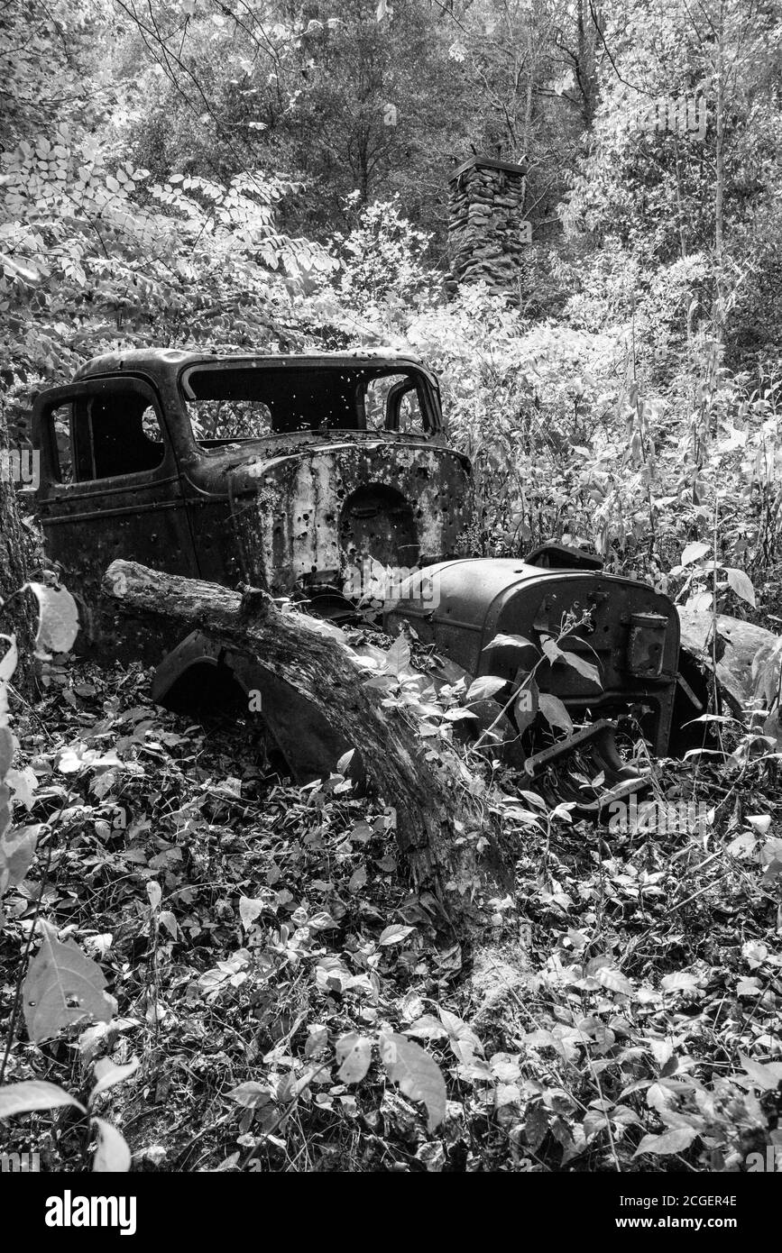 Rusted old car in the forest converted to black and white Stock Photo ...
