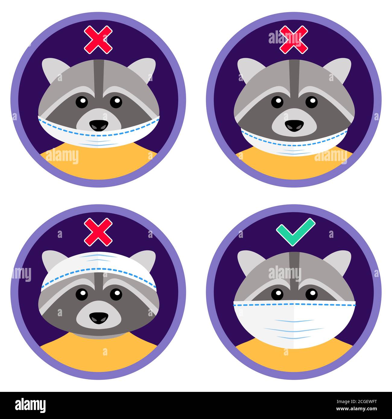 The cute raccoon shows how to wear face mask properly. Wrong and right ways to use medical