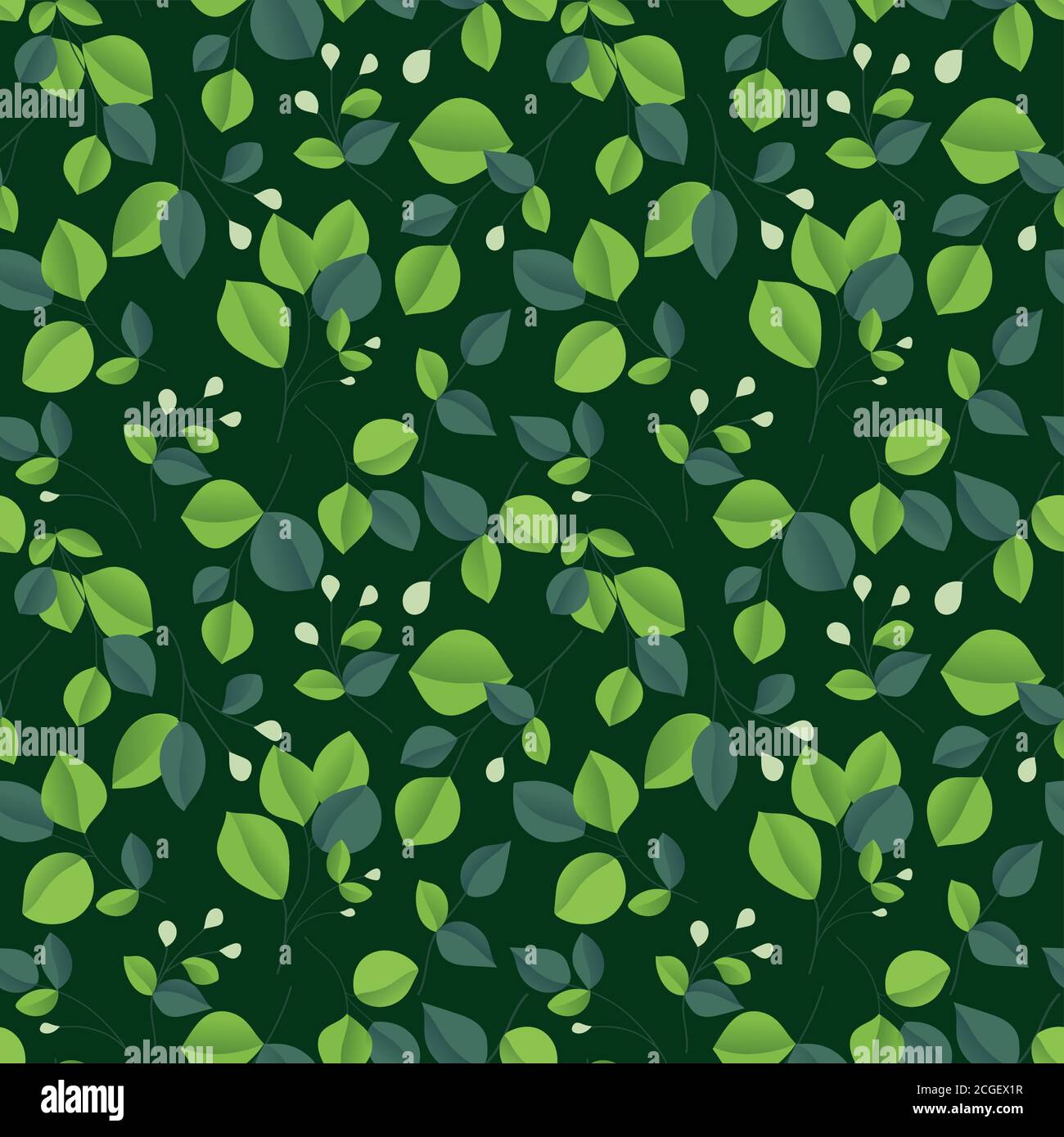 Eucalyptus illustration Stock Vector Images Alamy