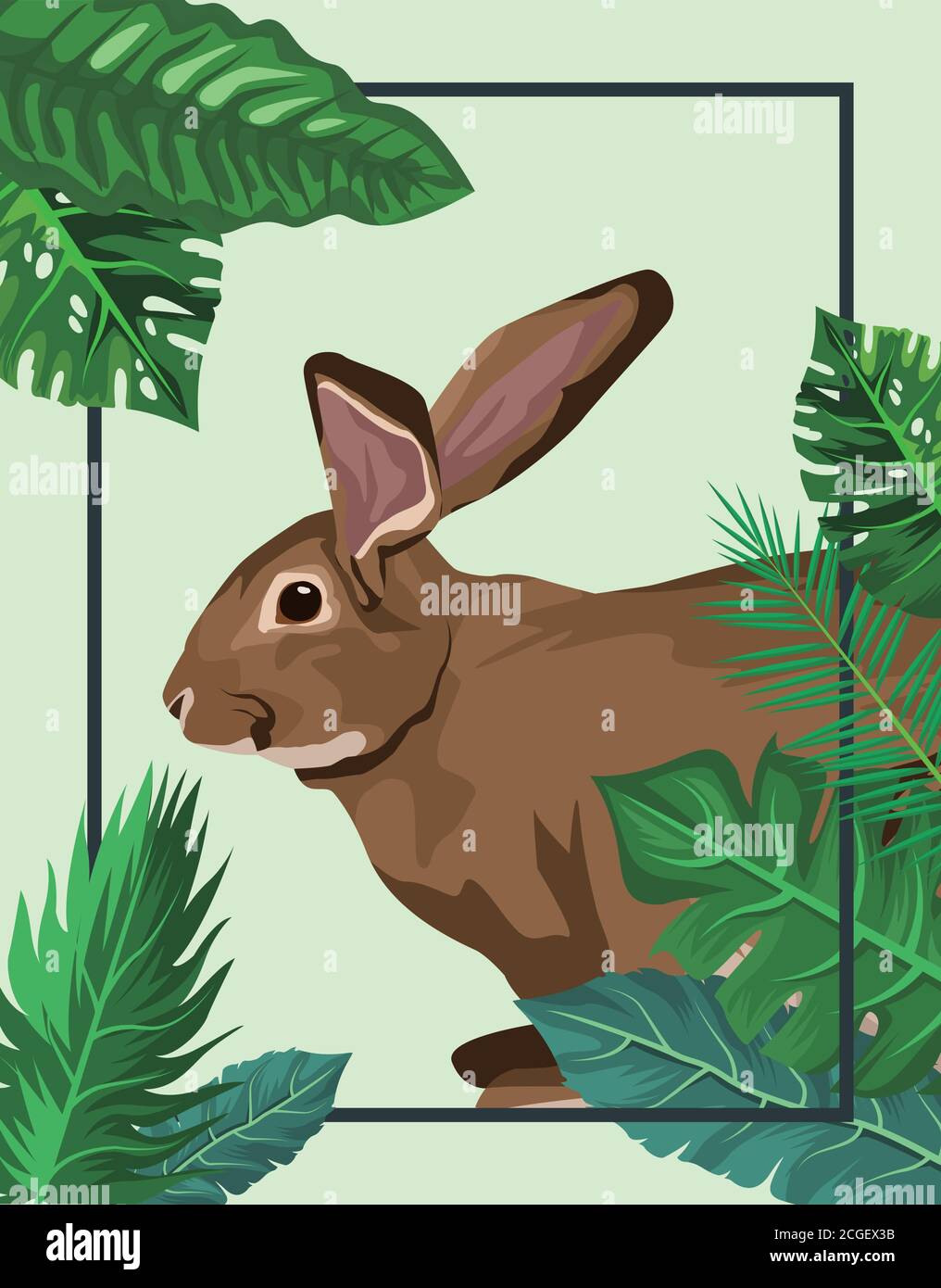 cute wild rabbit in leafs frame vector illustration design Stock Vector ...