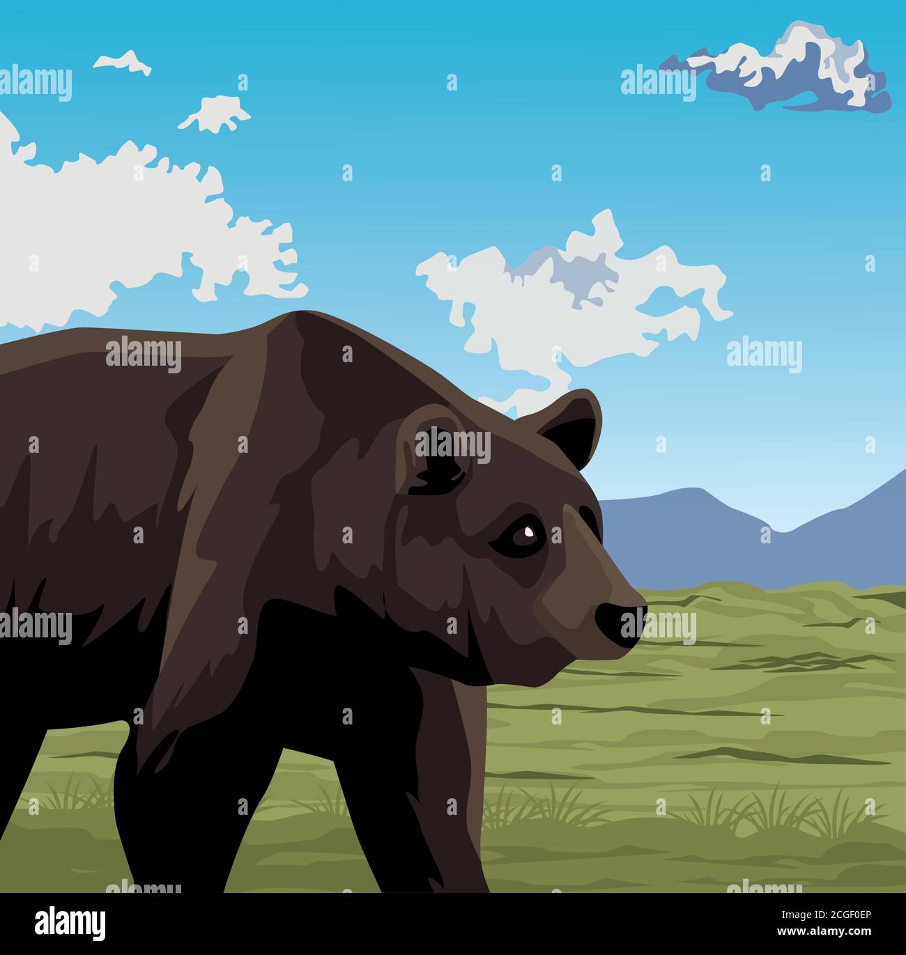 wild bear beast animal in landscape vector illustration design Stock ...