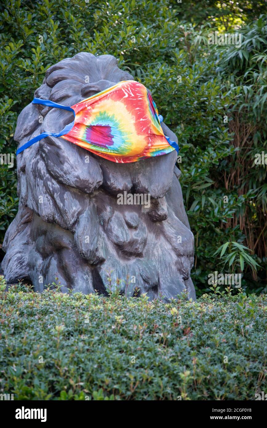 Bronze sculpture of a lion wears a face mask at the entrance to the National Zoo in Washington, DC. Stock Photo