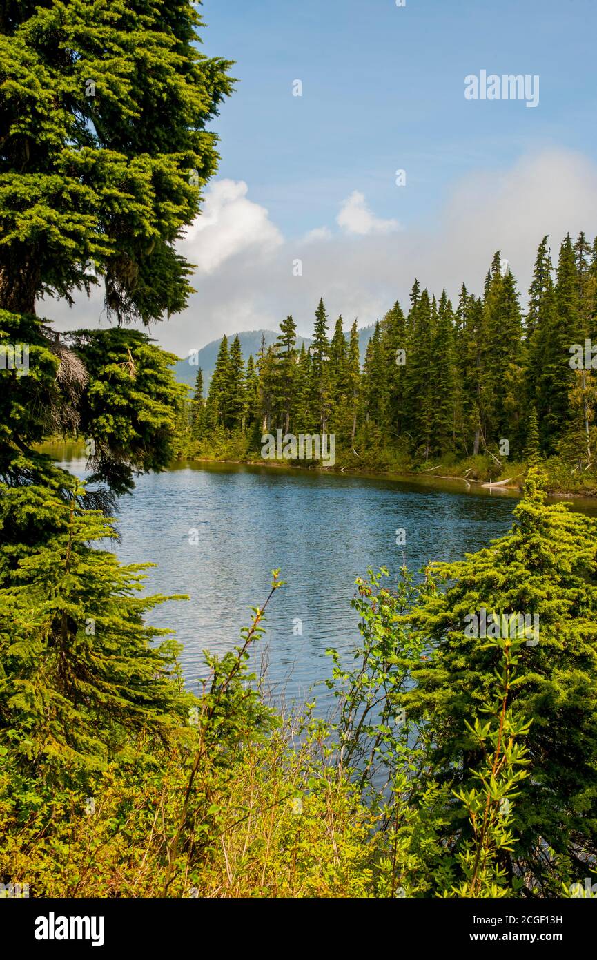 View of Battleship Lake in Strathcona Provincial Park, which is the