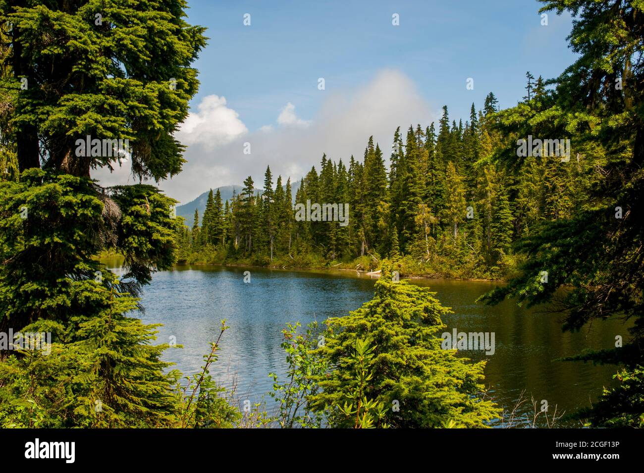 View of Battleship Lake in Strathcona Provincial Park, which is the