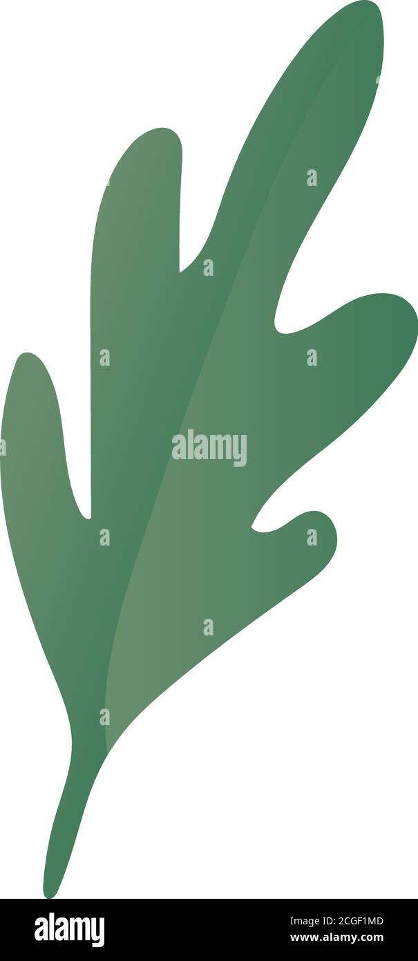 Isolated green leaf vector design Stock Vector Image & Art - Alamy