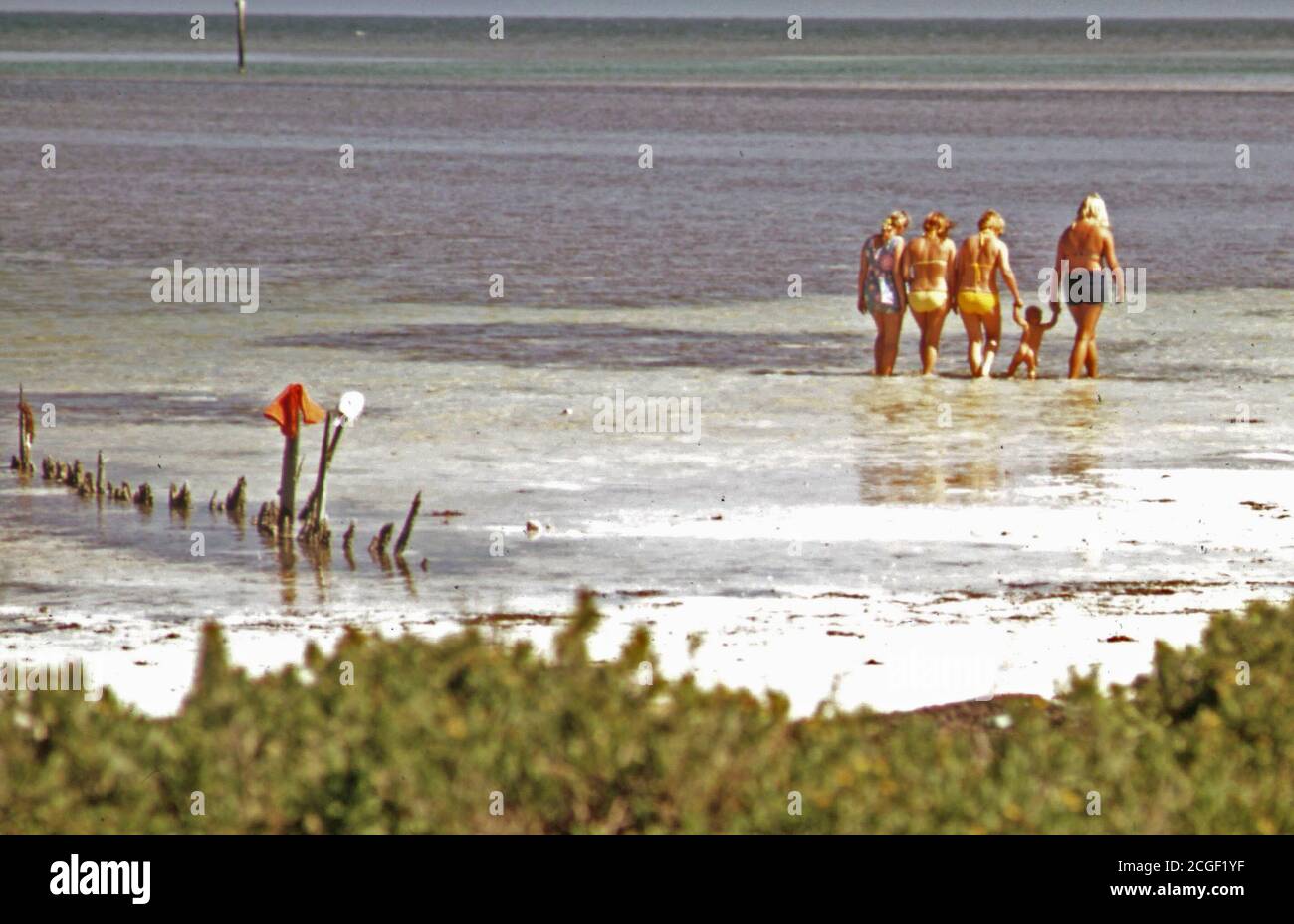 Tourists at the Public Beach near Long Key in the Central Florida Keys ca. 1975 Stock Photo