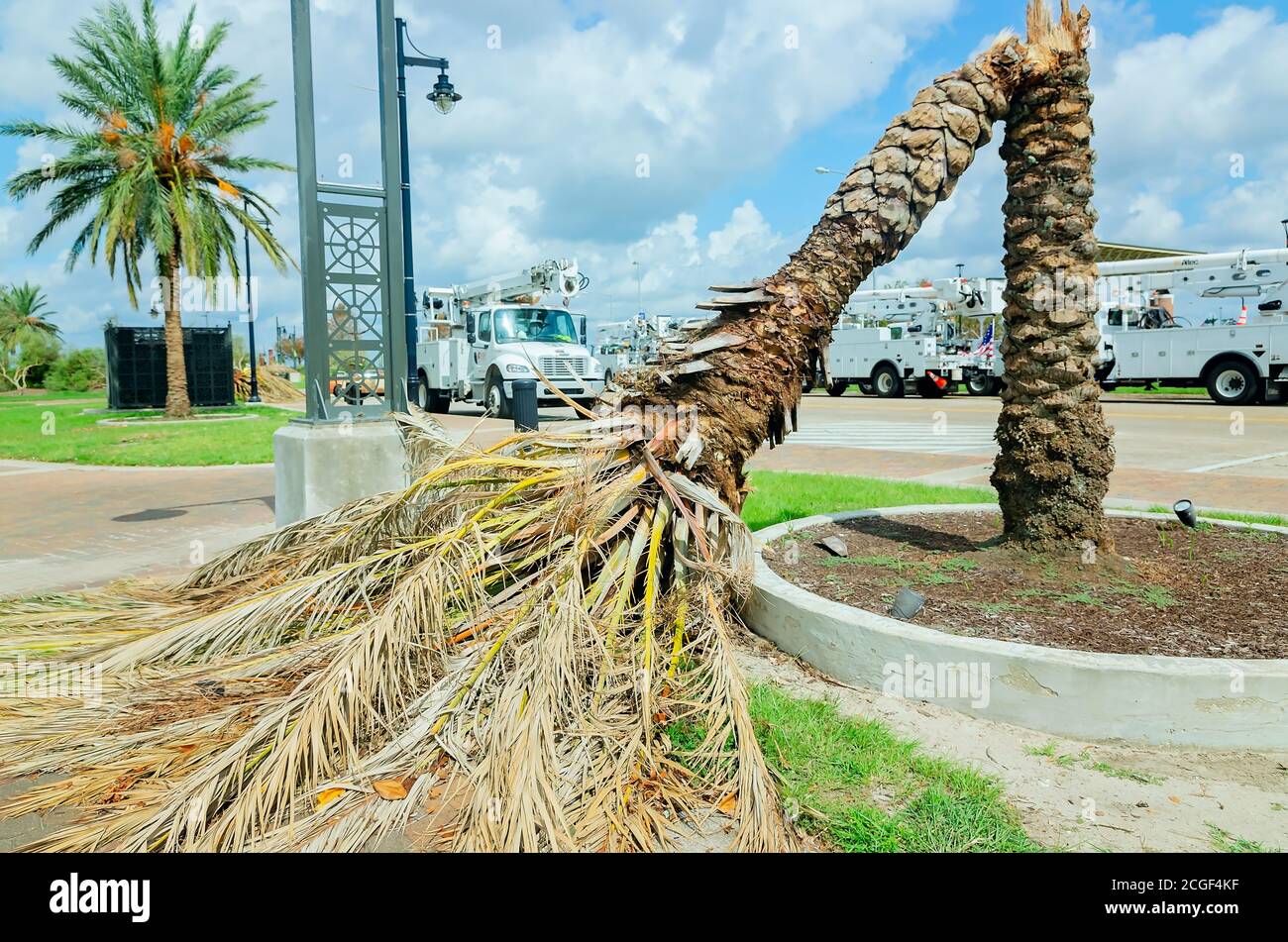 Utility crews work to restore power after Hurricane Laura, Sept. 9, 2020, in Lake Charles, Louisiana. Stock Photo