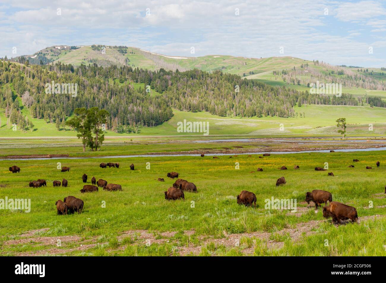 Lamar Valley Wyoming Hi res Stock Photography And Images Alamy