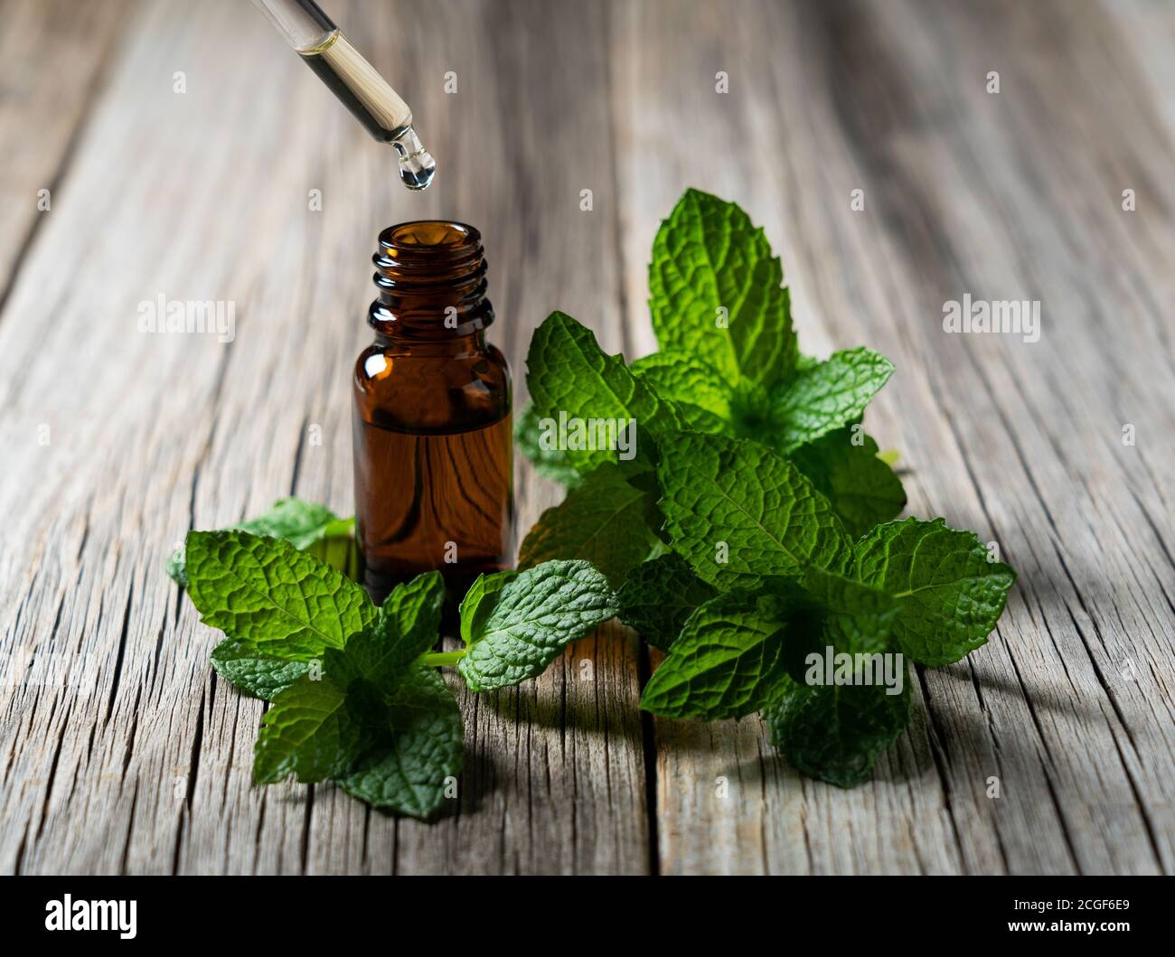 Drip mint essential oil with an eyedropper into a bottle set against