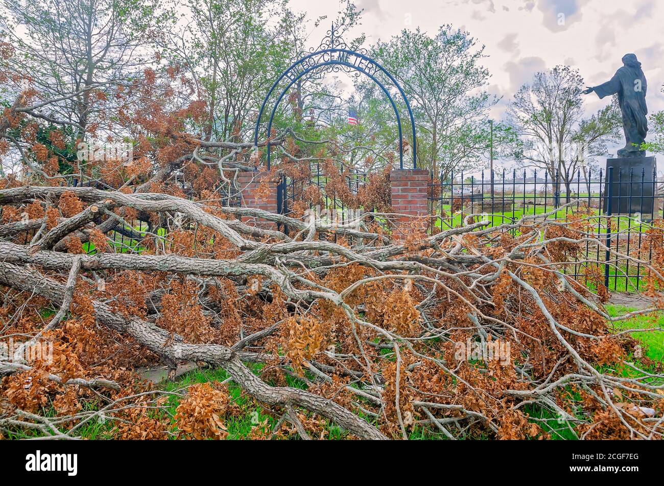 Fallen trees and debris from Hurricane Laura lay in front of the entrance to Bilbo Cemetery, Sept. 9, 2020, in Lake Charles, Louisiana. Stock Photo