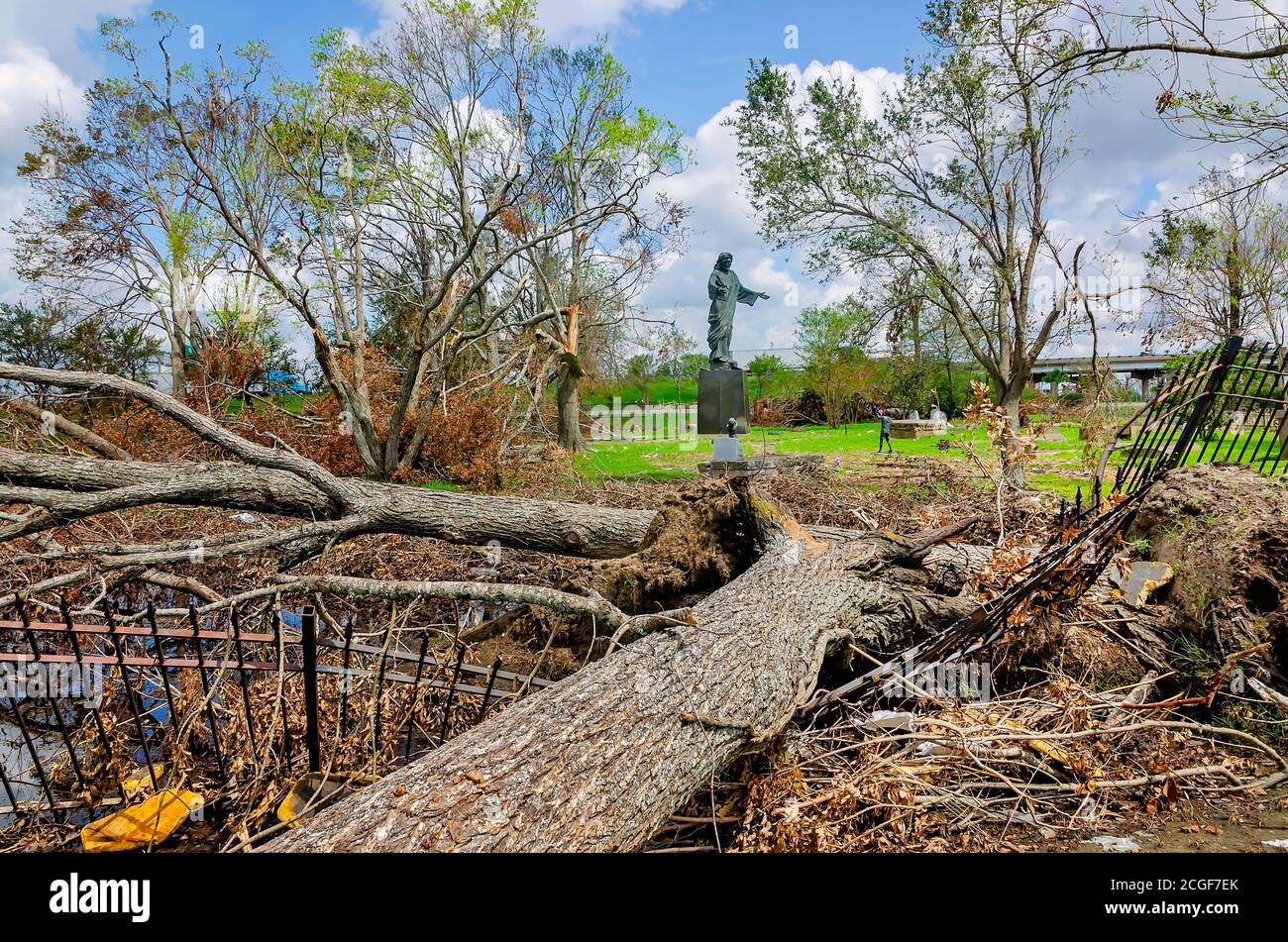Fallen trees and debris from Hurricane Laura surround Bilbo Cemetery, Sept. 9, 2020, in Lake Charles, Louisiana. Stock Photo