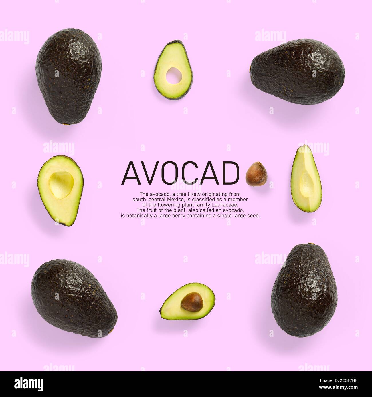 Modern creative avocado collage with simple text on solid color ...
