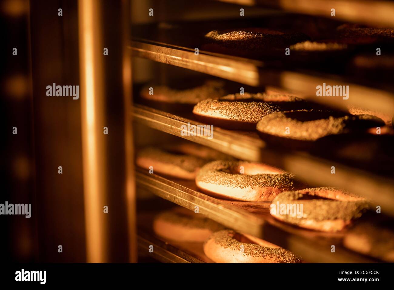 Bagels with poppy seeds are baked in oven. Industrial food production
