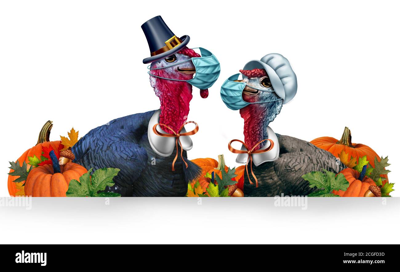 Healthy Thanksgiving banner as a seasonal sign with a turkey tom or gobbler and a hen and  each wearing a face mask and surgical facial protection. Stock Photo