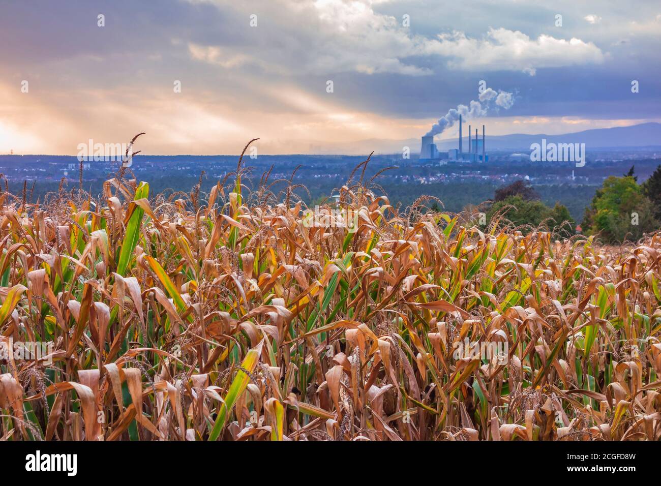 Sunbeam factory hi-res stock photography and images - Alamy