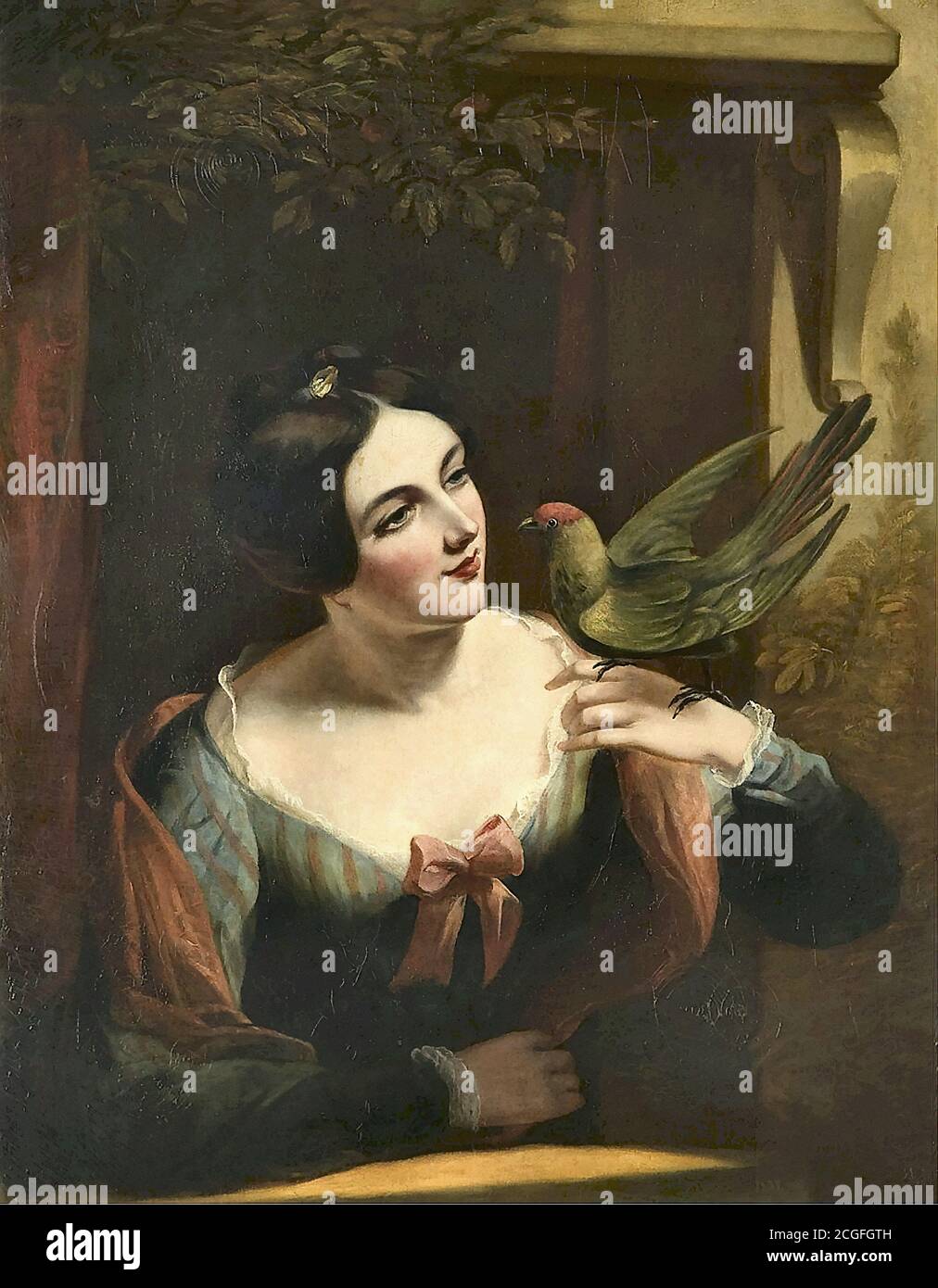 Maclise Daniel - the Pet Bird - British School - 19th  Century Stock Photo