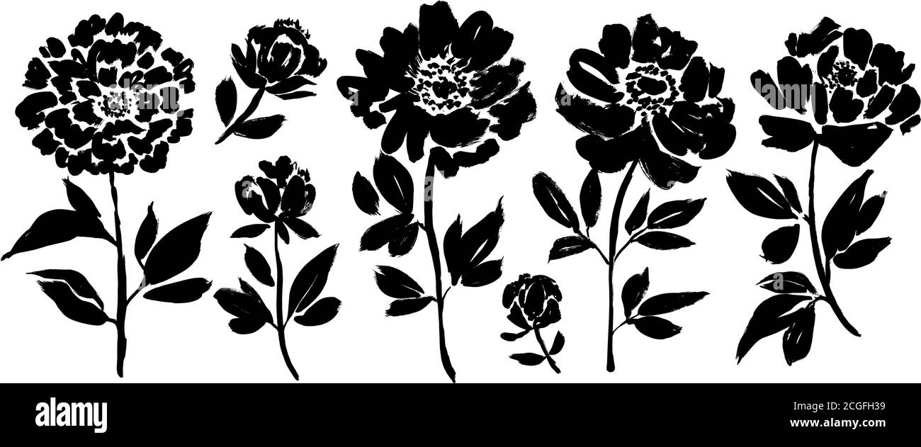 Peony and anemones hand drawn paint vector set. Stock Vector