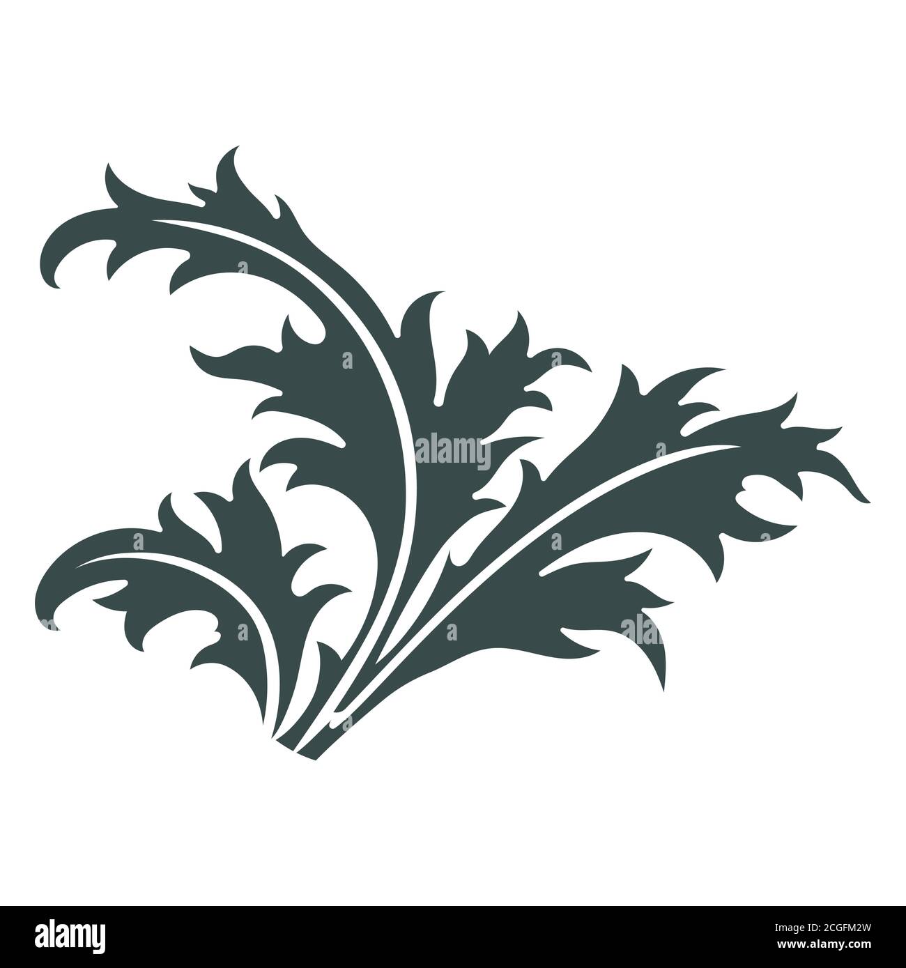 Thistle. Hand drawn thistle leaves. Scottish Thistle Stock Vector