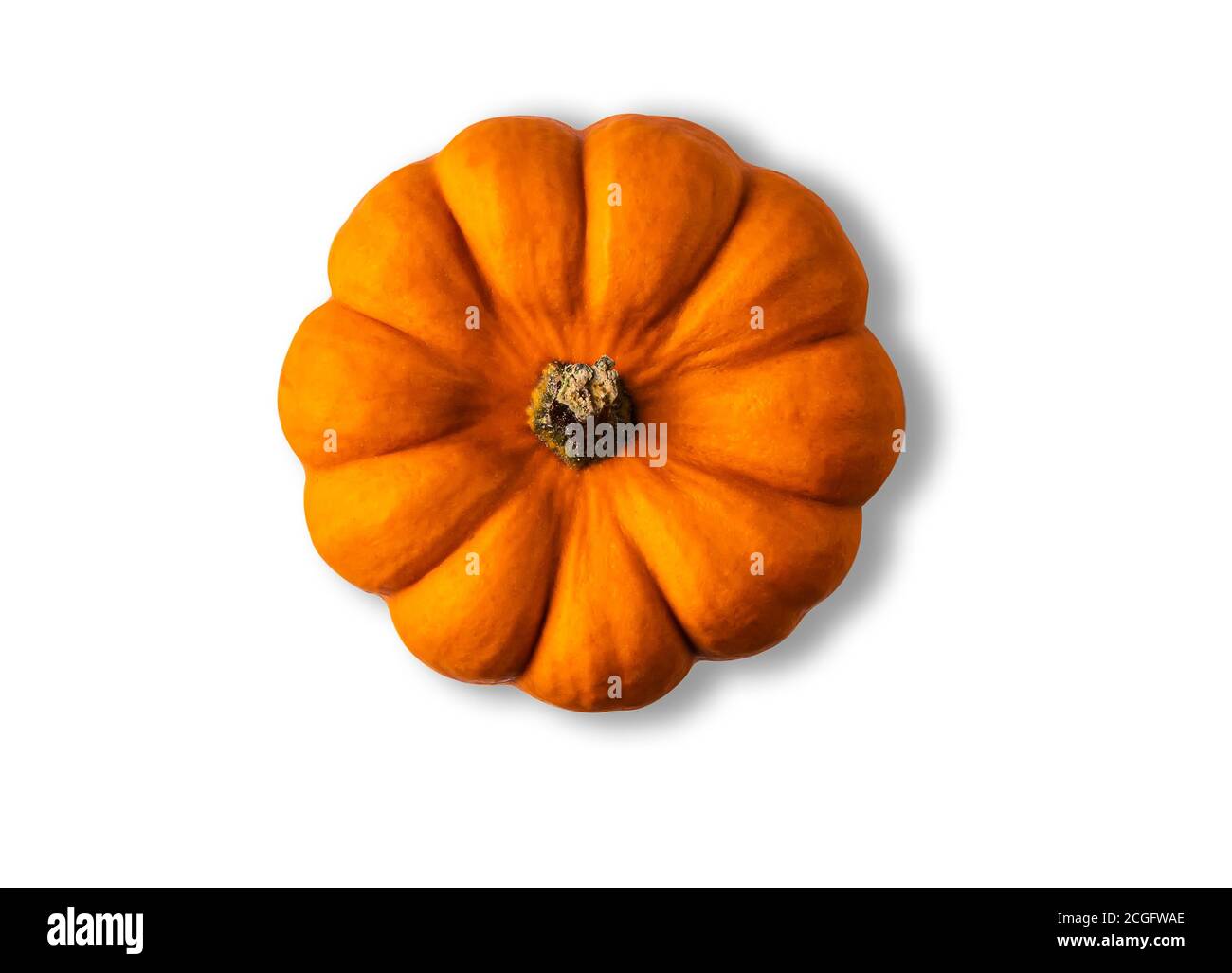 One whole orange pumpkin with its shadow isolated on white background. Directly above view. Horizontal orientation. Copy space. Stock Photo