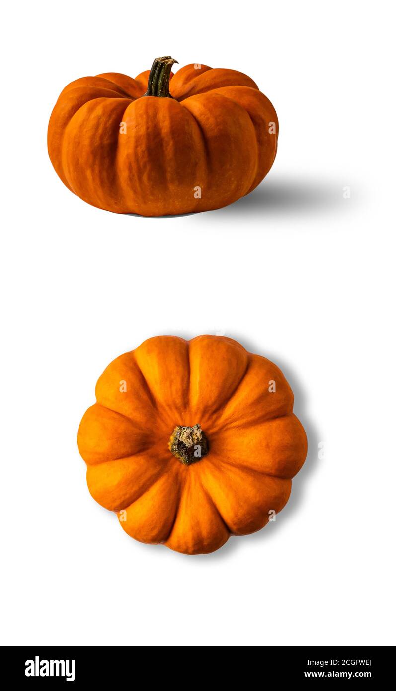 Whole orange pumpkin with its shadow from above and side view isolated on white background. Vertical orientation. Copy space. Stock Photo