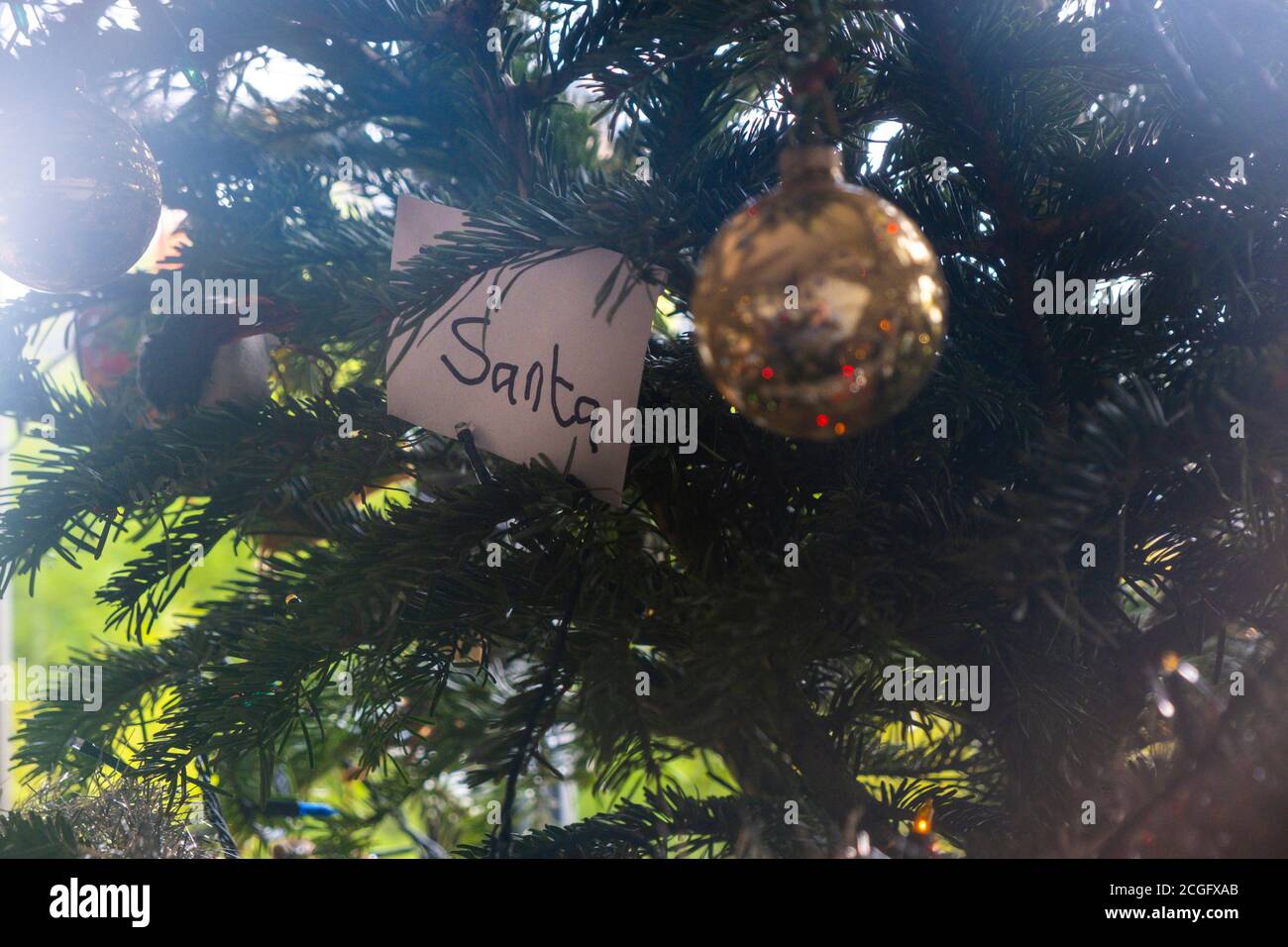 A childs letter to Santa, Father Christmas in a white envelope on a christmas tree. Stock Photo