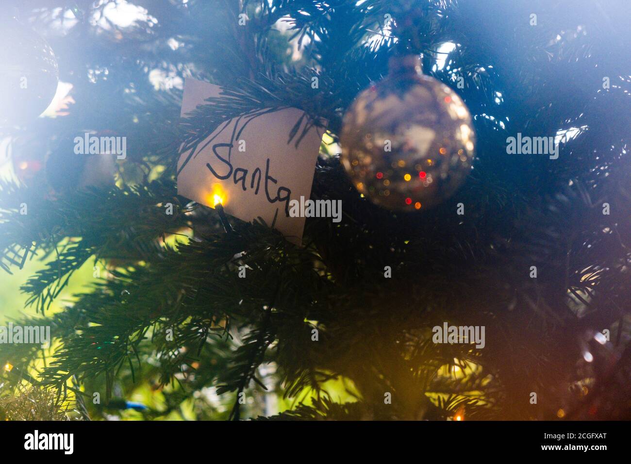 A childs letter to Santa, Father Christmas in a white envelope on a christmas tree. Stock Photo