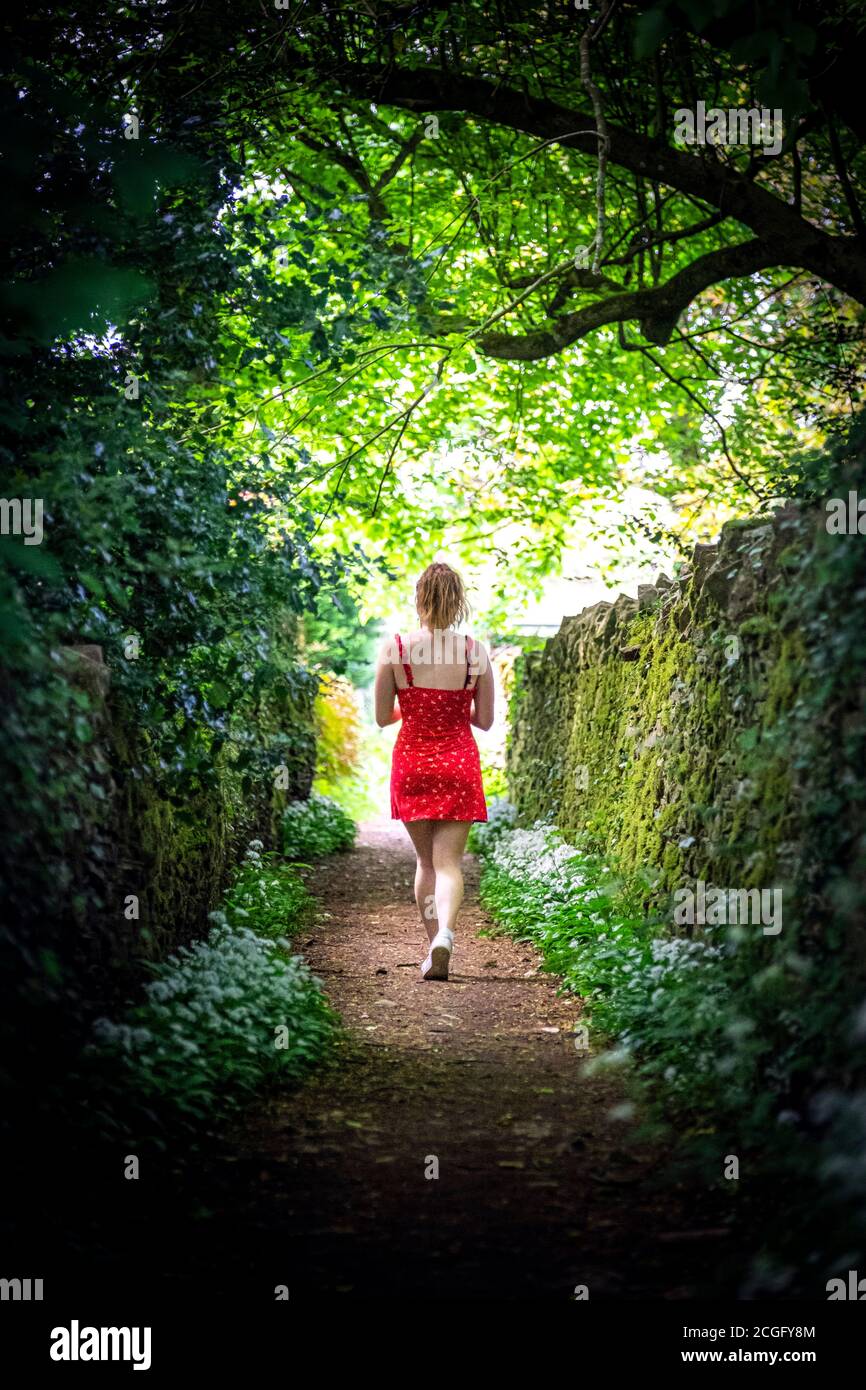 red dress hanging in trees How Red Dresses Became a Symbol for Missing and Murdered Indigenous Women