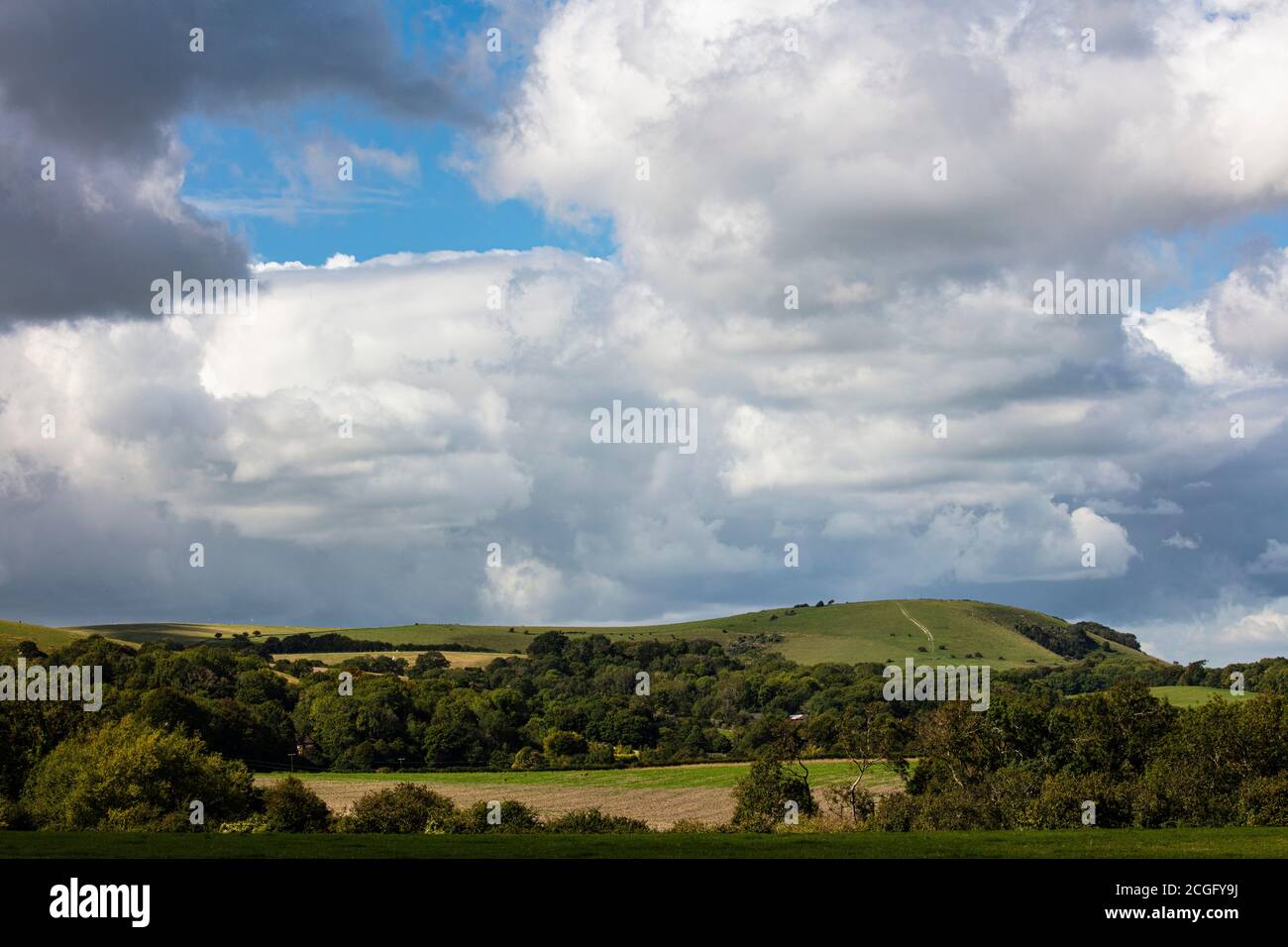 Mid Sussex UK, Summer countryside, South Downs National Park Stock Photo