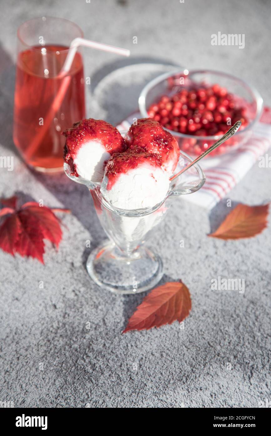 Vegan ice cream, Kombucha with cranberries and cranberries on a light background with autumn leaves. Vertical orientation Stock Photo