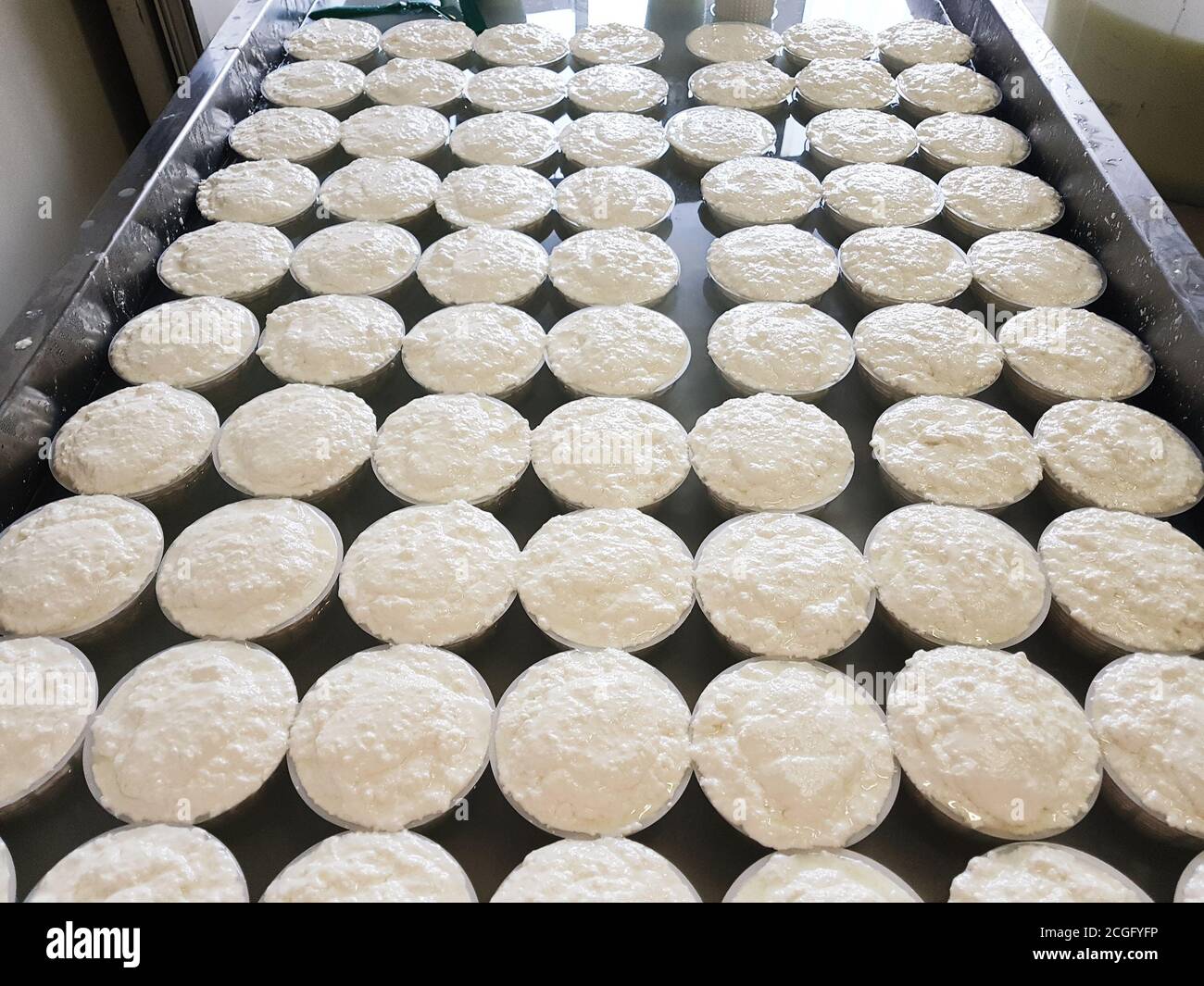 Fresh Ricotta cheese in plastic molds on cheese factory in Italy Stock