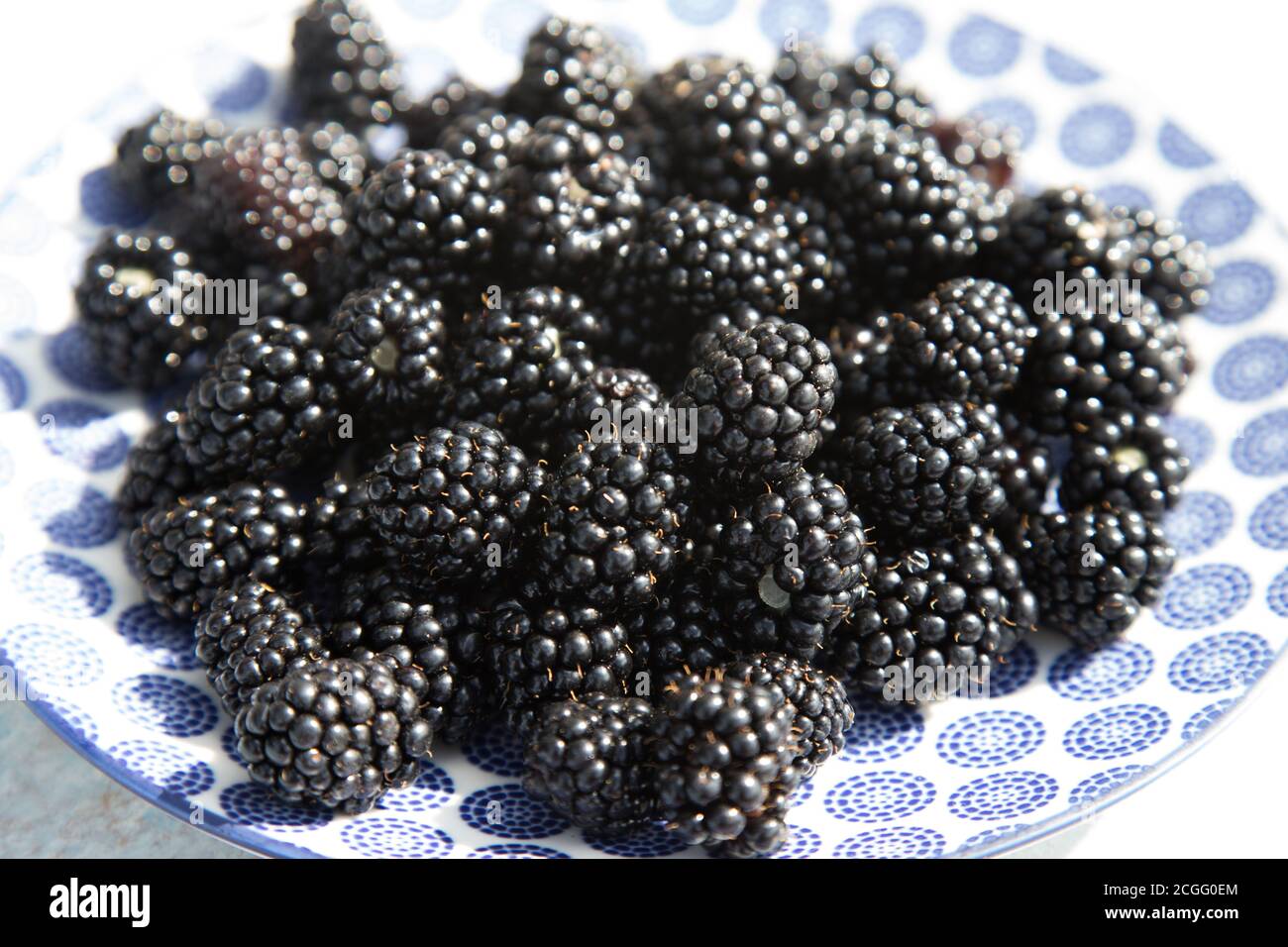 Blackberries on a light plate. Fruit background.Horizontal orientation. Close up Stock Photo