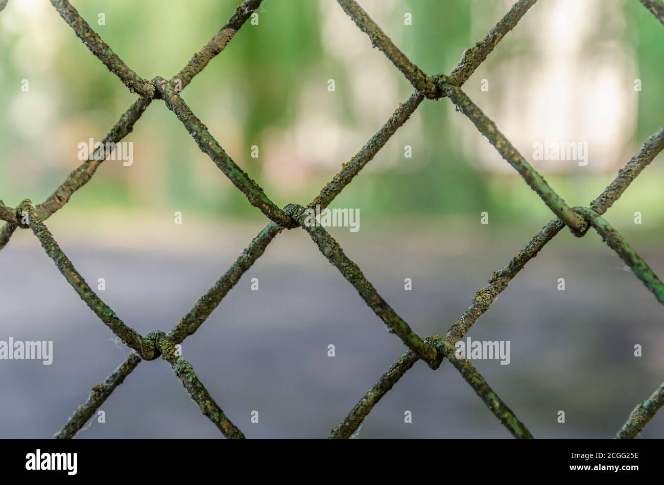 Old metal fence chain links on green background, metal mesh Stock Photo