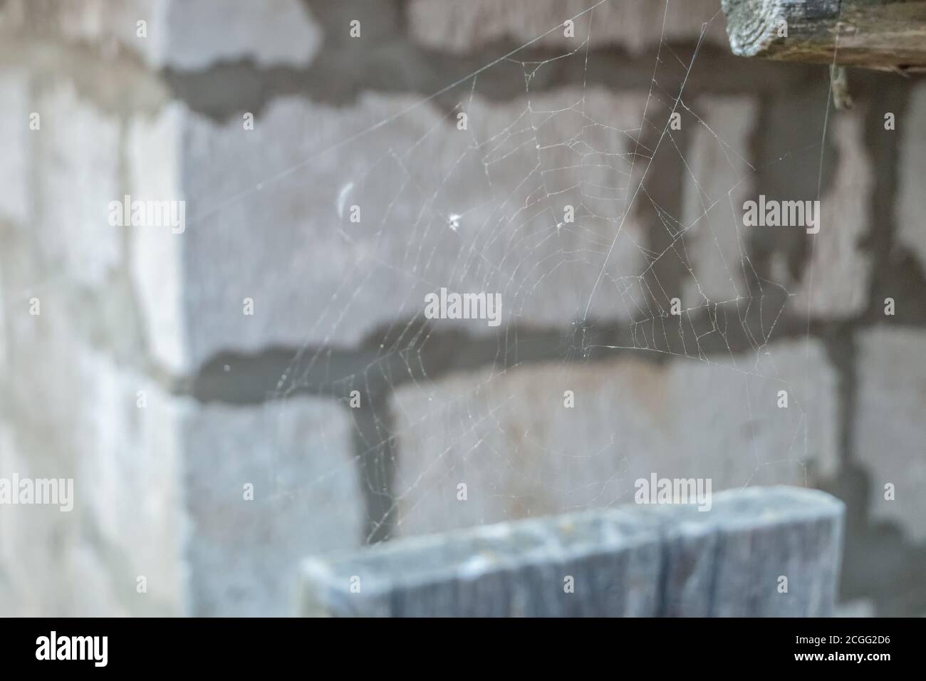 Cobweb on brick wall background. Can be used as a background. Stock Photo