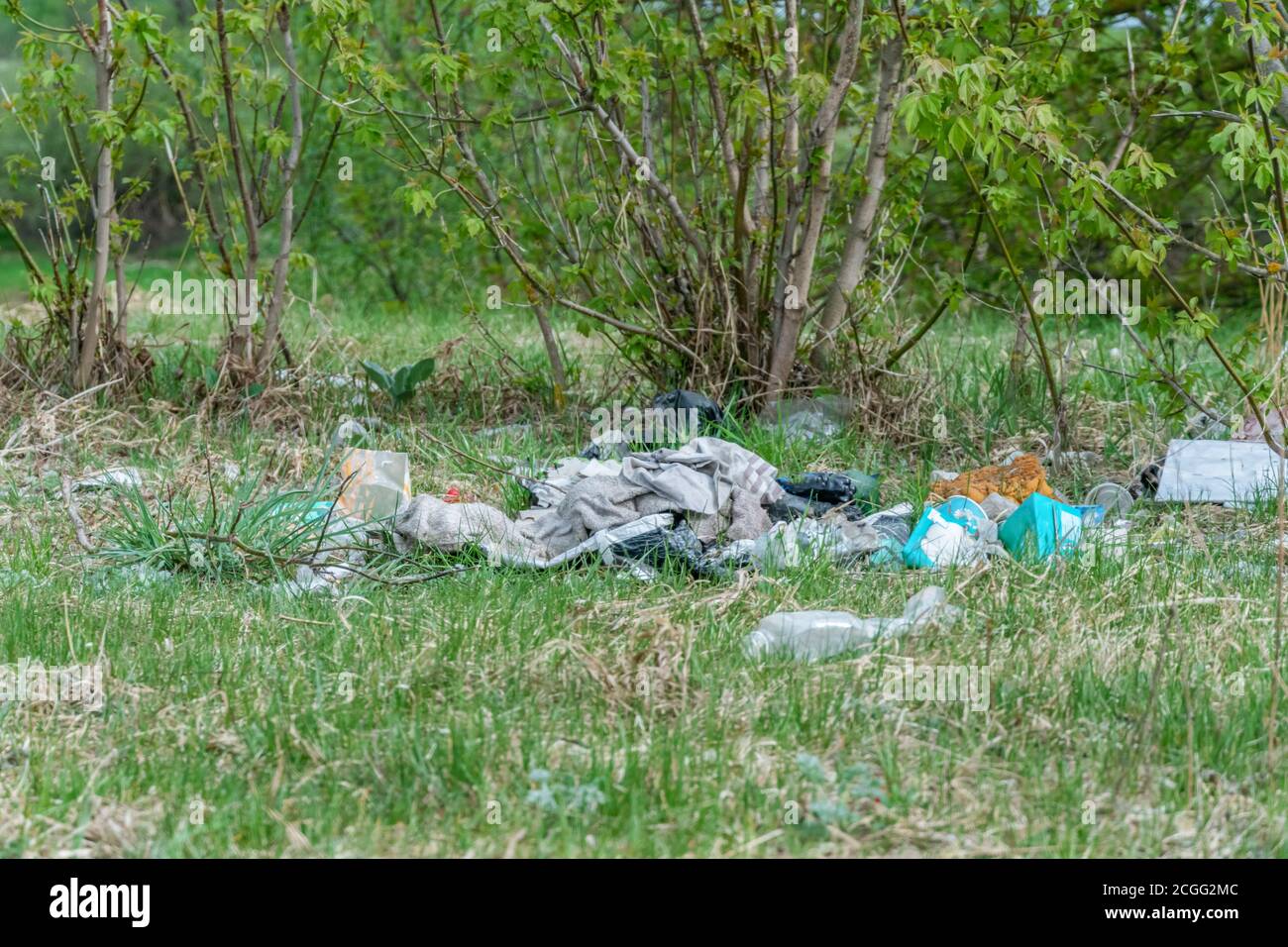 Scattered garbage in the forest. Environmental pollution, social problems. Stock Photo