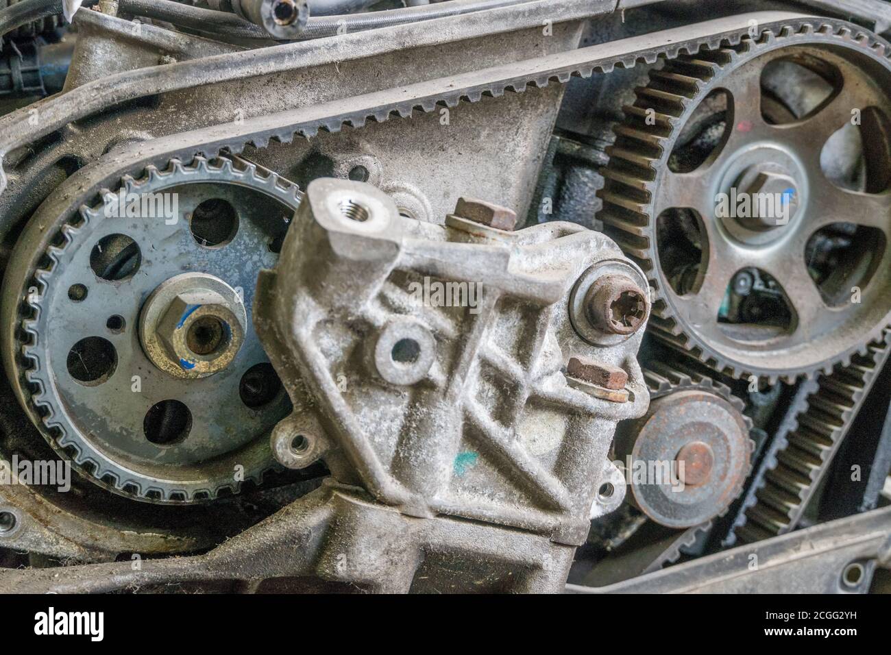 Timing chain on a gears from a car engine Stock Photo Alamy