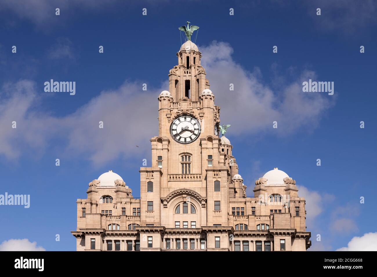 Royal Liver Building and Liver Bird, Liverpool, Merseyside, England Stock Photo