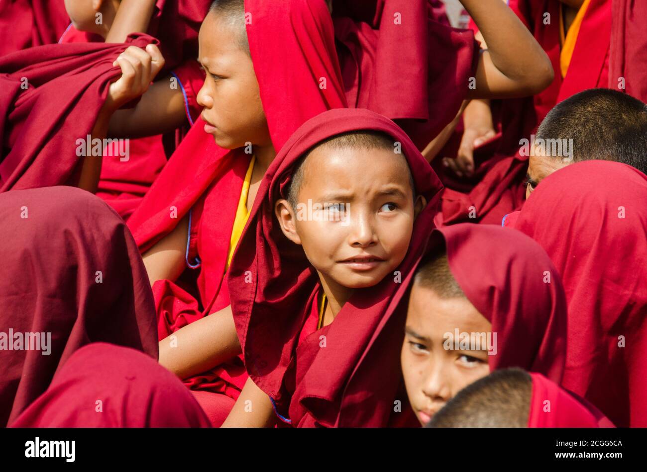 child tibetan lamas gatherd during prayer time at bodh gaya bihar india. Stock Photo