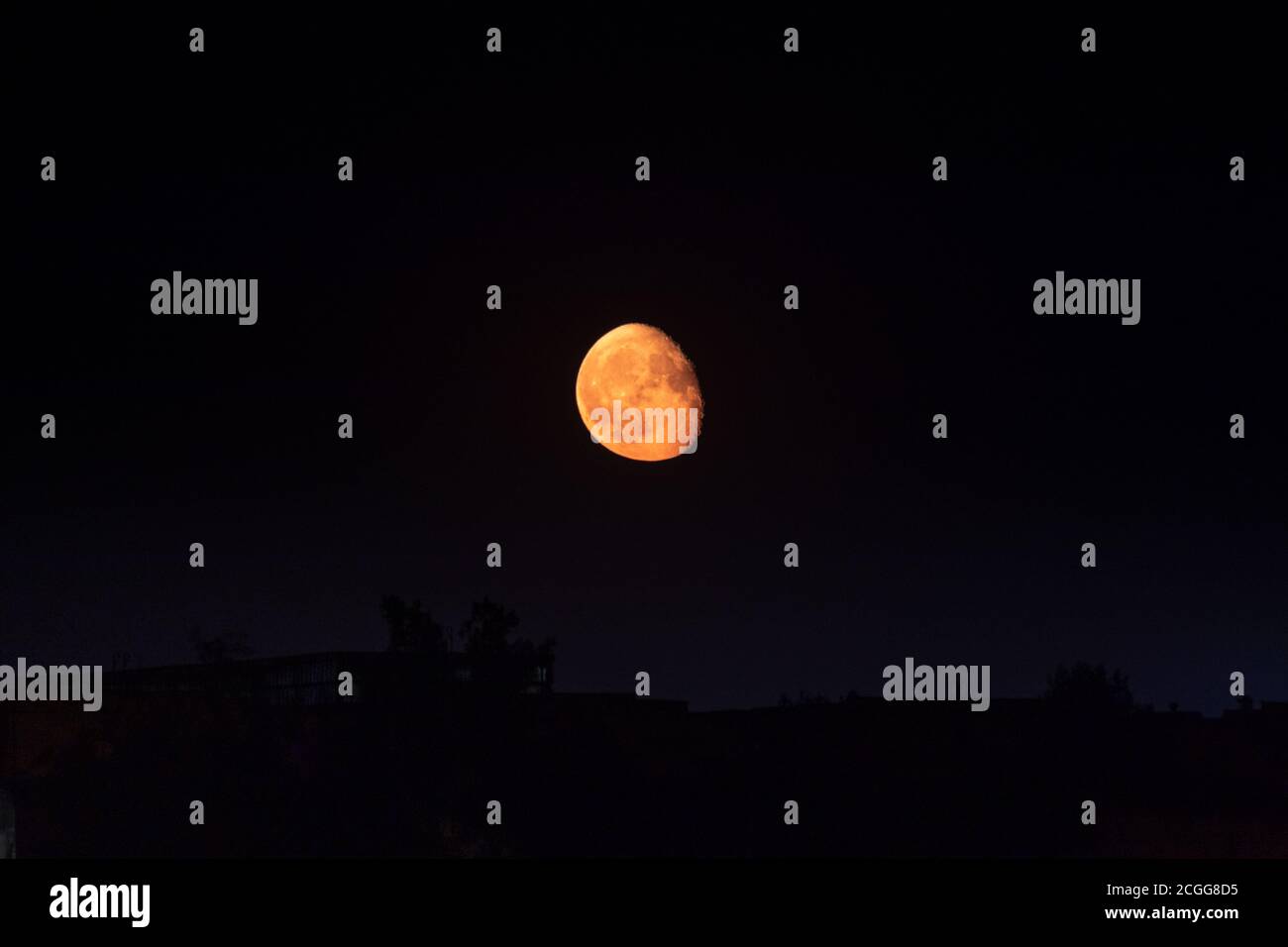 Bright orange moon in waning gibbous phase rising up on dark clear