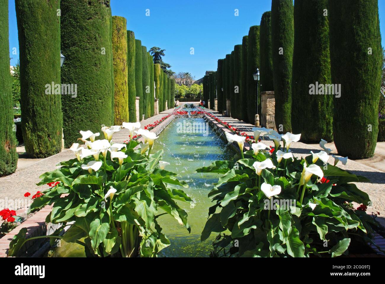 Water garden at the Palace Fortress of the Christian Kings (Alcazar de los Reyes Cristianos), Cordoba, Cordoba Province, Andalucia, Spain, Europe. Stock Photo