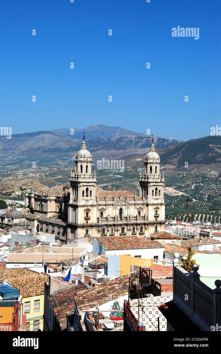 Elevated view of the Cathedral with olive groves to the rear, Jaen, Jaen Province, Andalucia, Spain, Western Europe Stock Photo
