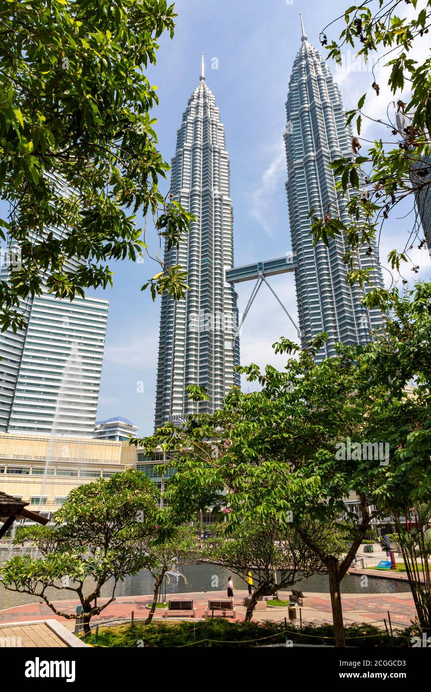KUALA LUMPUR, 17 August 2013 - The Petronas, twin towers emerge from the KLCC garden skyline under a hash cloudless summer sky, Malaysia Stock Photo