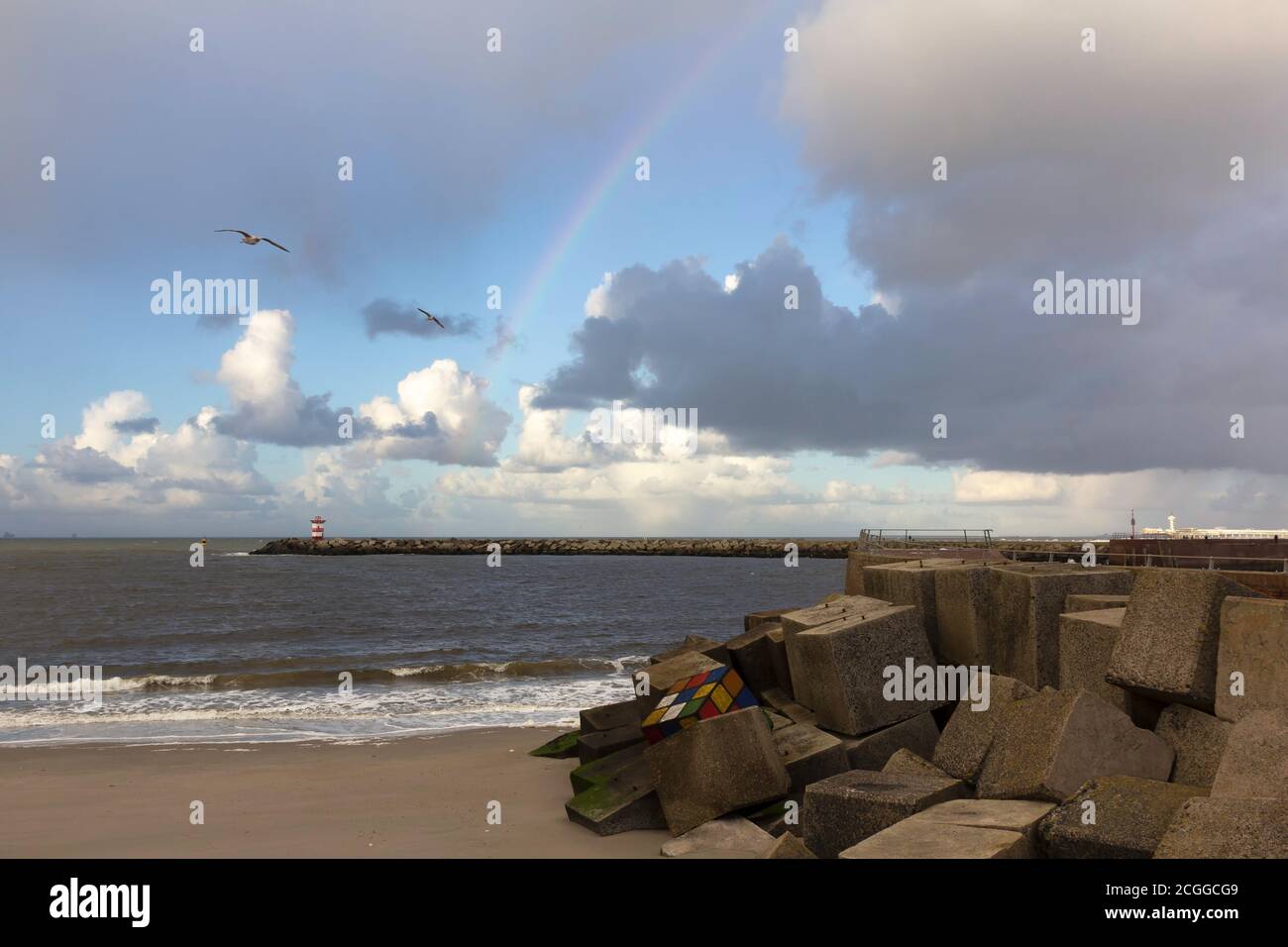Seagulls flying over the Scheveningen harbor after a heavy rain shawer Stock Photo