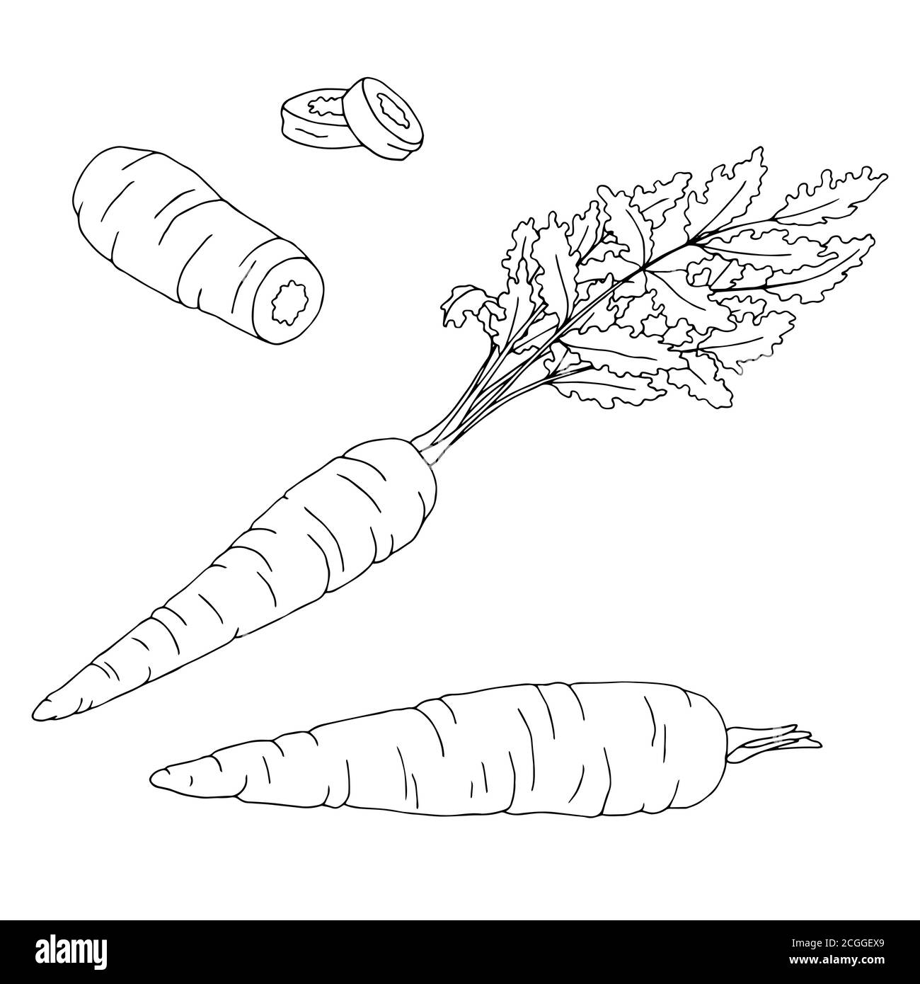 Carrot graphic set black white isolated illustration vector Stock Vector  Image & Art - Alamy