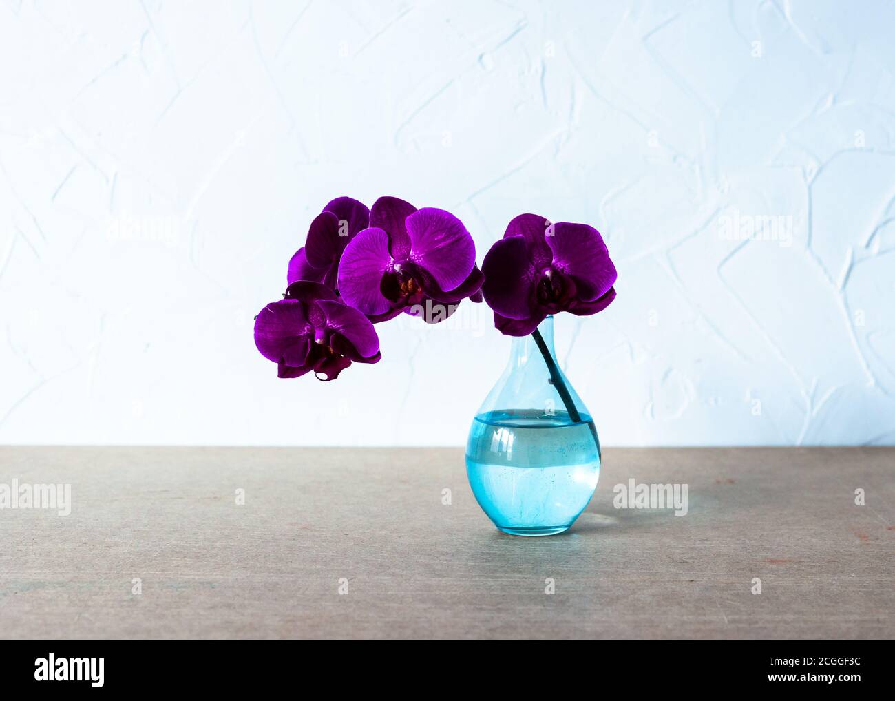 Purple orchid in glass vase on white background Stock Photo Alamy